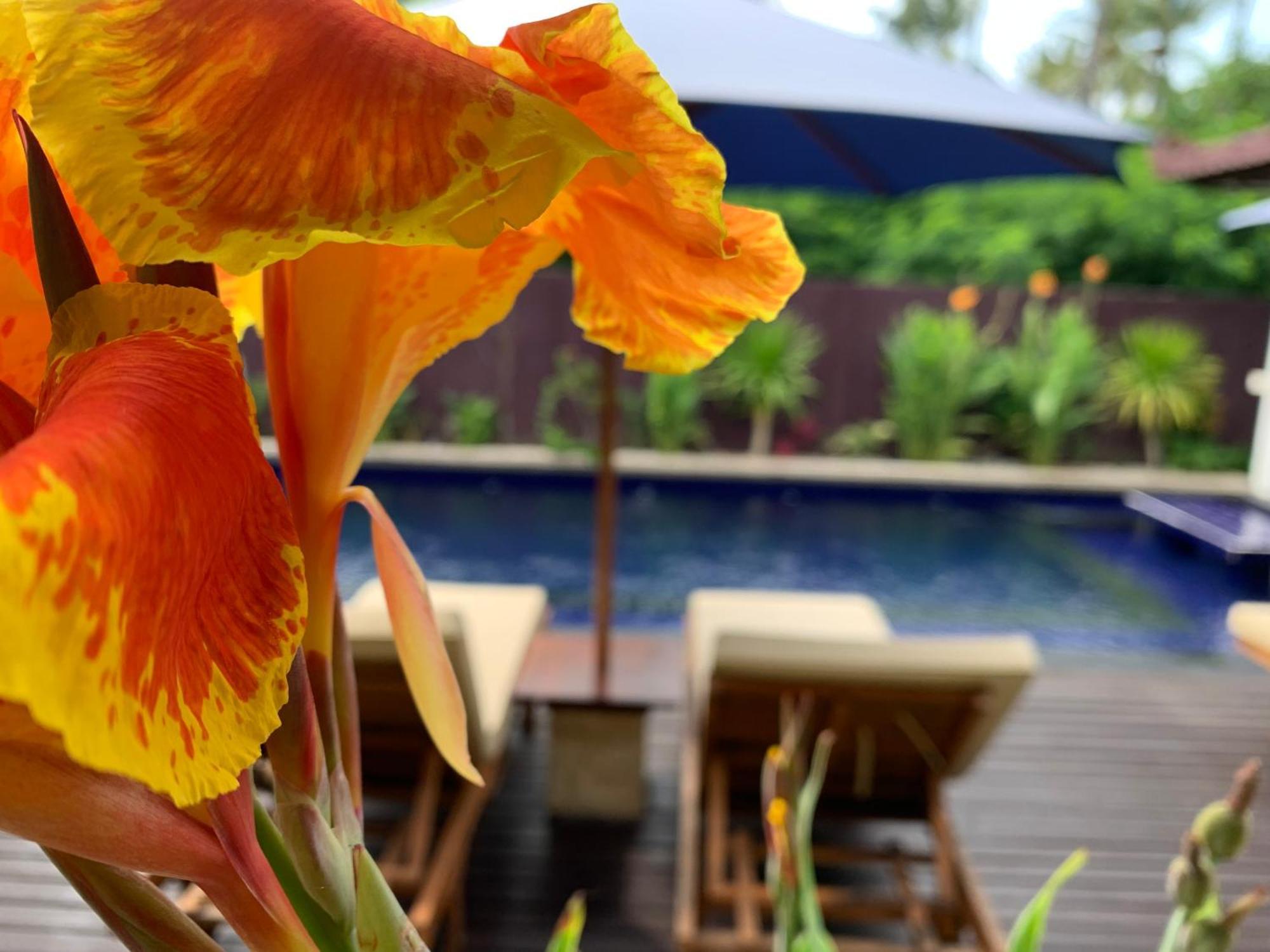 Relax Villas Gili Air Bagian luar foto